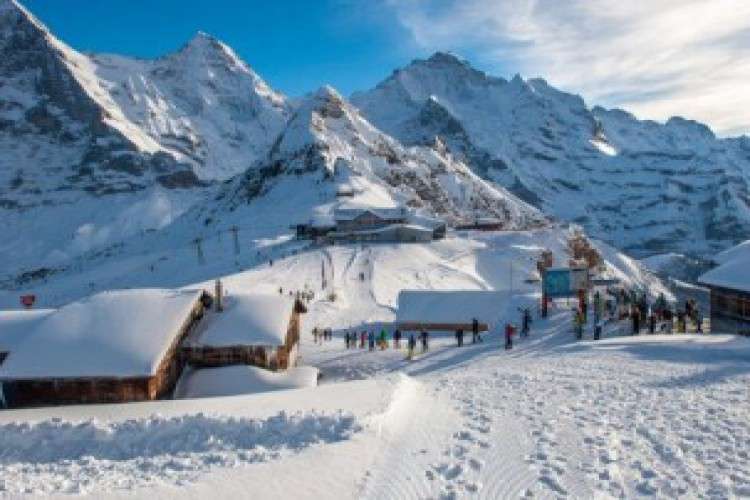 Shimla Tour Packages 8042833