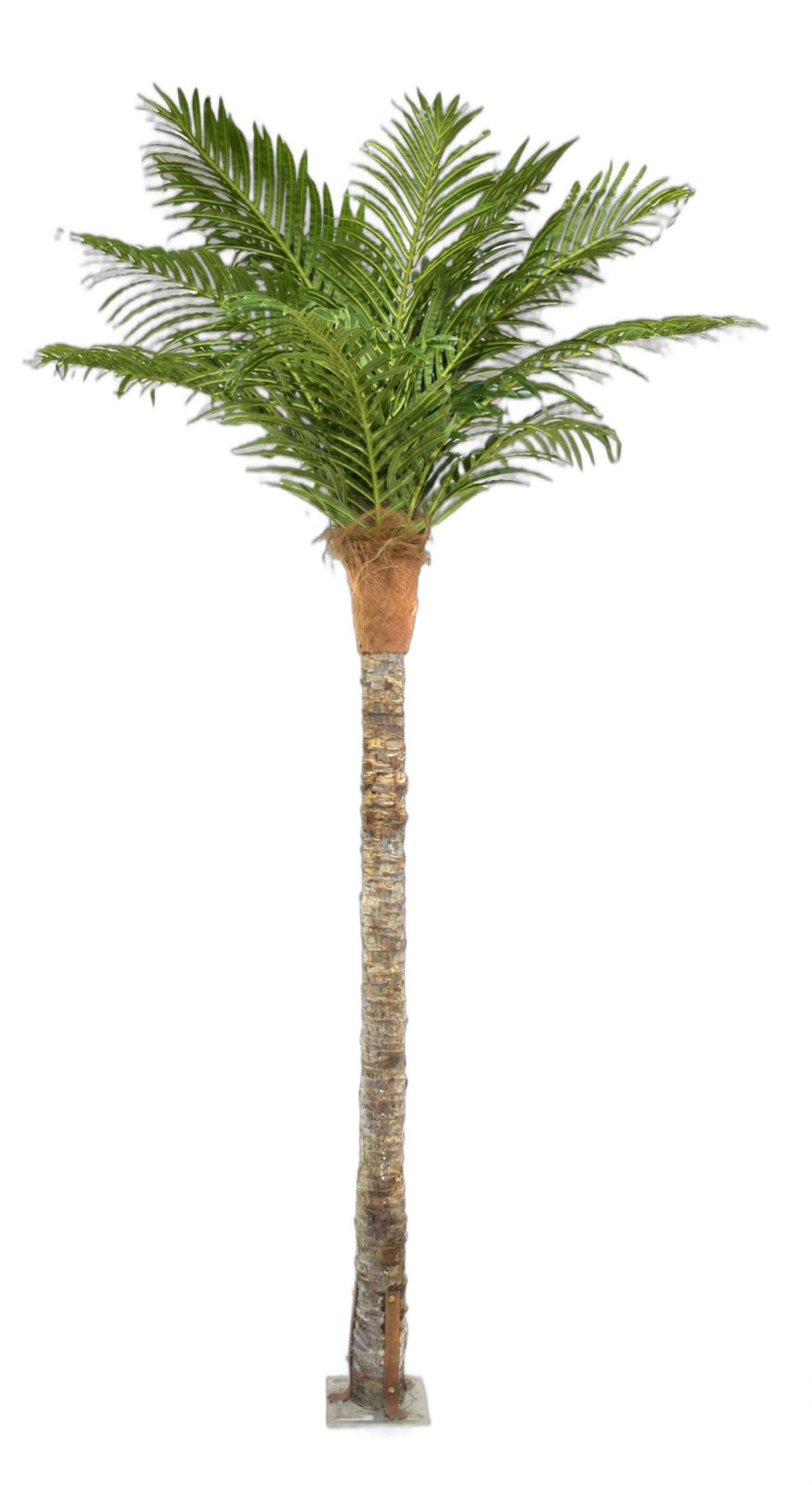 Shweta Enterprise Artificial Plants And Grass 17677935722