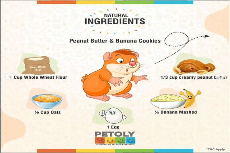 Small Animal Food Rabbit Hamster Guinea Pig Food Petoly 16301670698