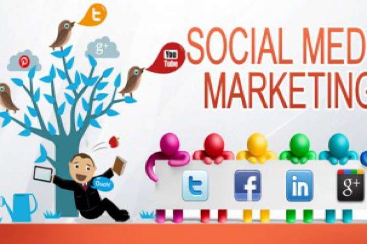 Social Media Marketing Company In India 5826998