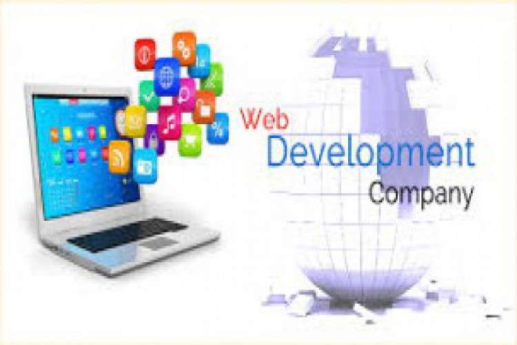 Software Development Agency Noida 8392942