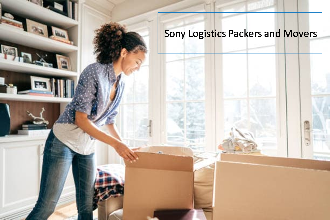 Sony Logistics Packers And Movers 16603942992