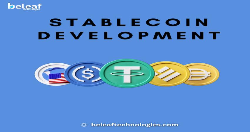 Stablecoin Development Company 17029872418