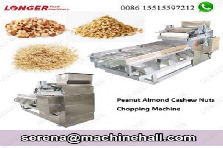 Stainless Steel Almond Peanut Cutting Chopping Machine 2225488