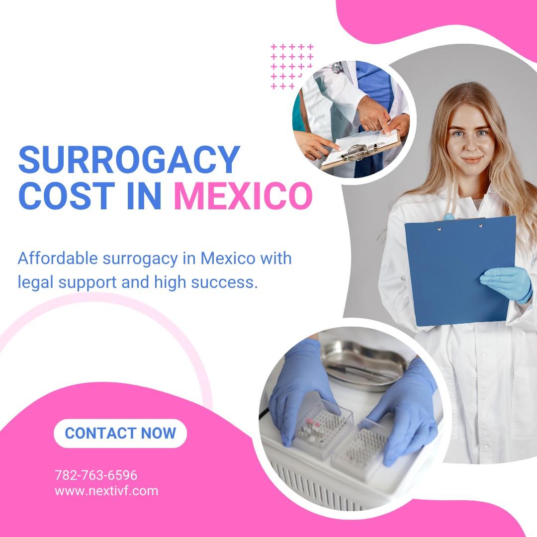 Surrogacy Cost In Mexico 17627684017