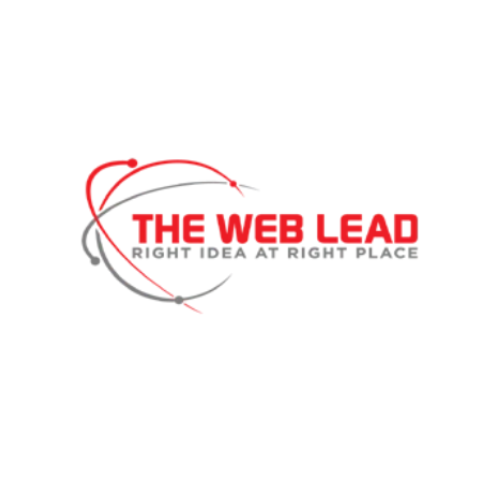 The Web Lead Digital Marketing Agency In India 17146321605
