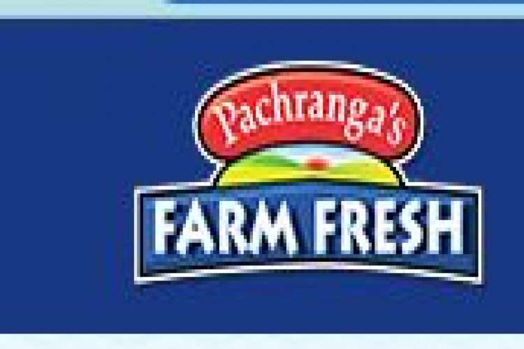 Top Pickles Manufacturer Pachranga 16375845778