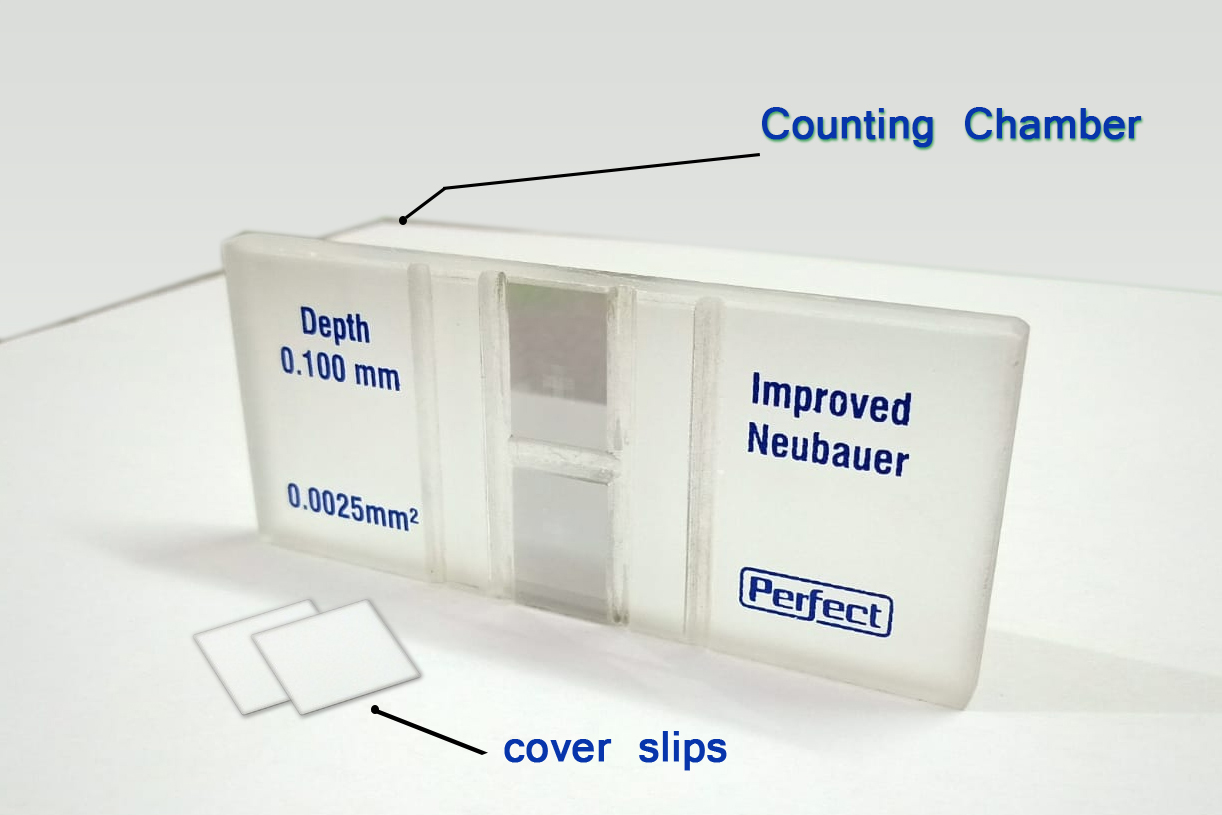 Top Reating Neubauer Counting Chamber Manufacturer In India 16977885375