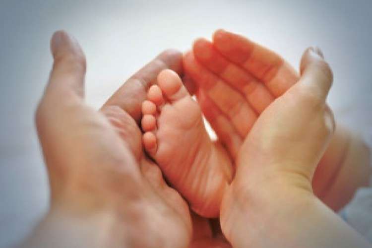 Top Surrogacy Centres In Pune Best Surrogacy Clinic In Pune 9927406