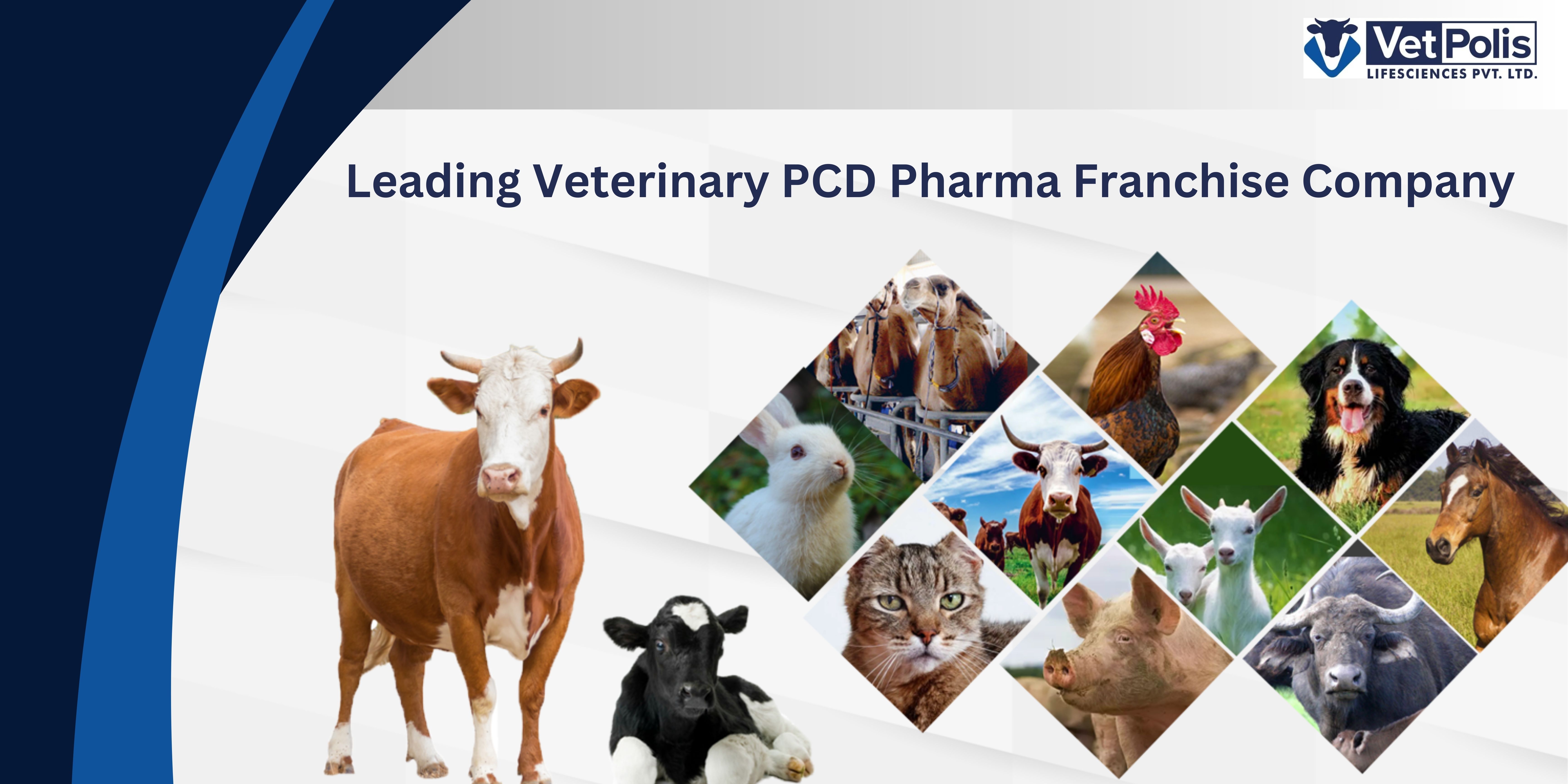 Top Veterinary Pcd Franchise Company For Animal Healthcare 177218252710