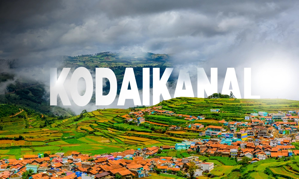 Trusted Best Travel Agency In Kodaikanal Peter Holidays 17701846247