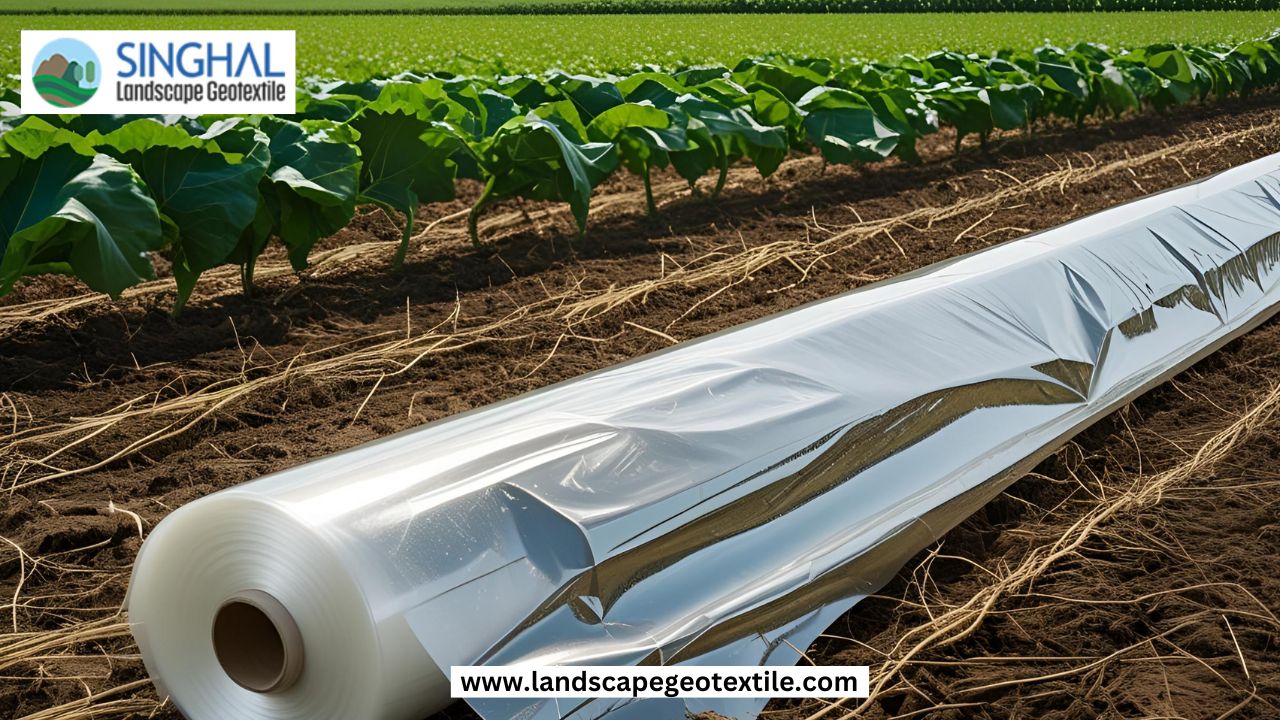 Trusted Mulching Film Manufacturer In Gujarat 17503316656