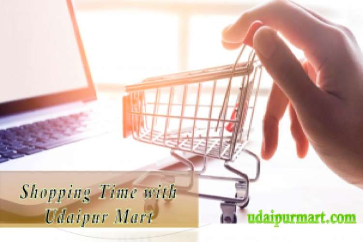 Udaipur Shopping Market 3502161