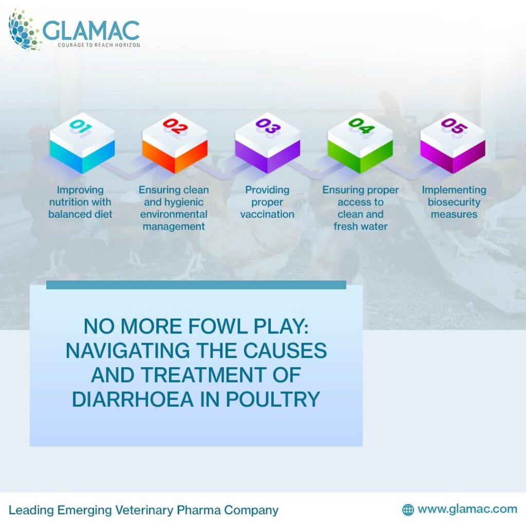 Understanding And Treating Chicken Diarrhea Causes And Remedies 17327080764