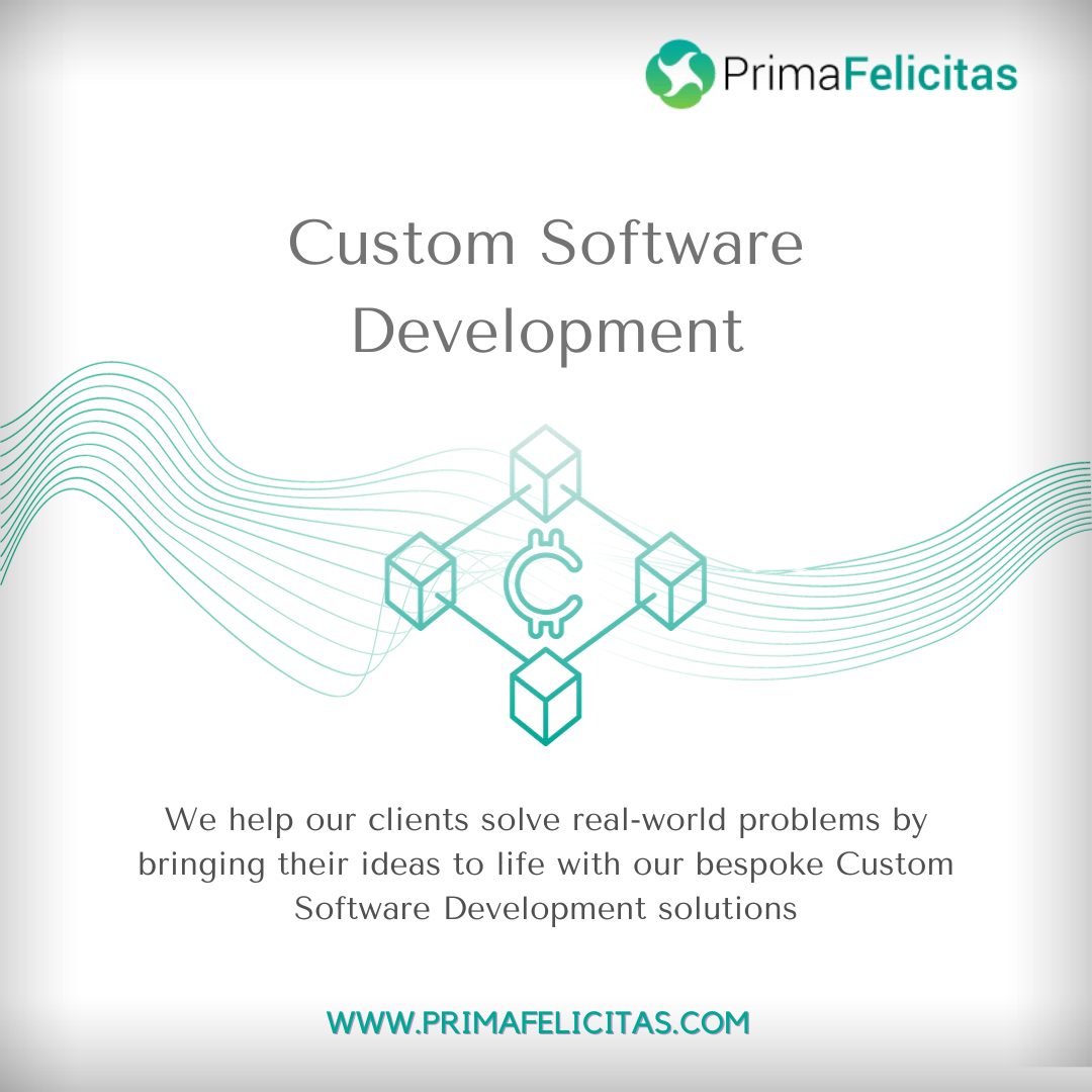 Unlock Your Business Success With Custom Software Development 17005638328