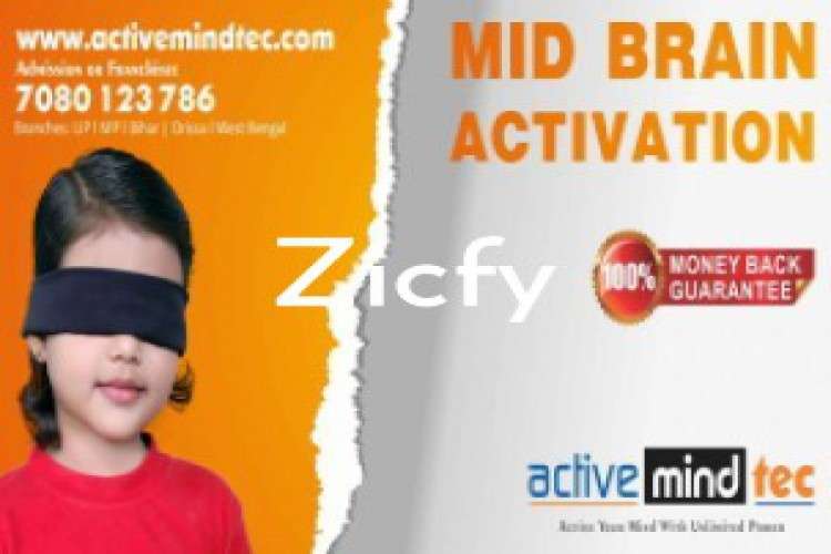 Unlock Your Childs Hidden Super Sensory Power Midbrain Acti 2702481