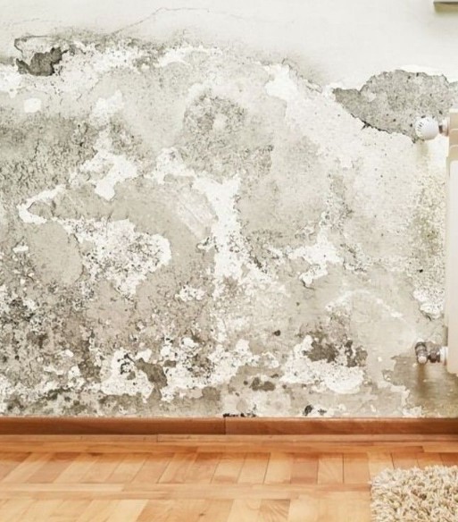Wall Seepage Treatment 178351220610