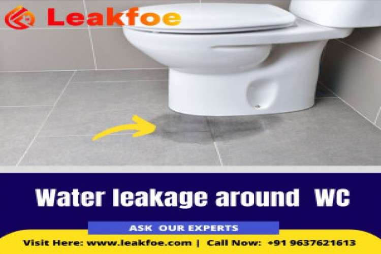 Waterproofing Contractors Special Waterproofing Services 8827688