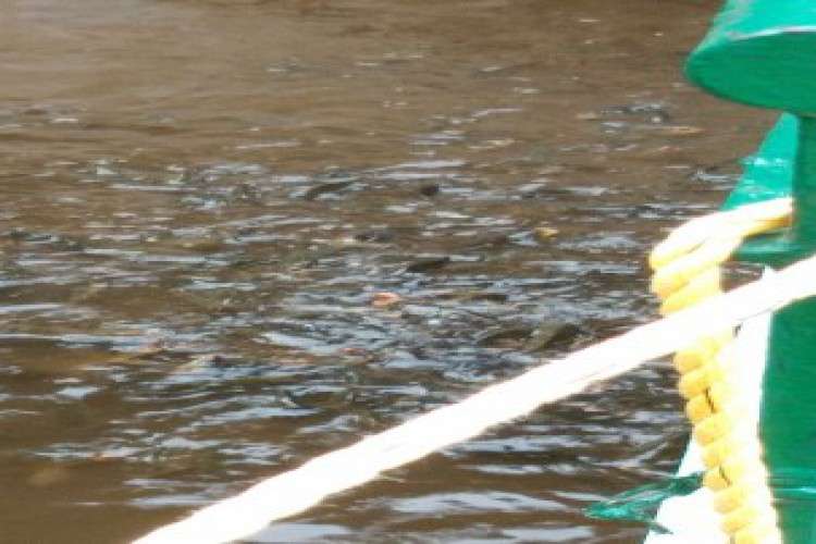 We Are Hiring   Earn Rs Per Month   Simple Copy Paste Jobs 6860659