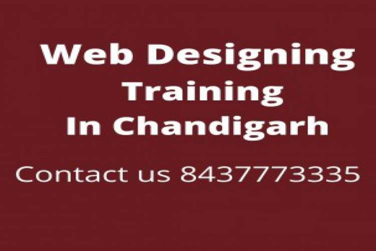 Web Designing Training In Mohali 8104999