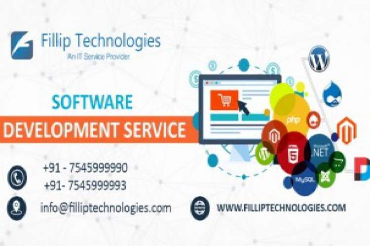 Website Design Company In Patna Fillip Technologies 8064733