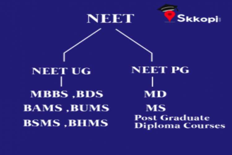 What Courses Come Under Neet 9428841