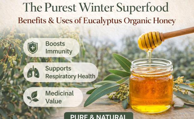 Why Eucalyptus Organic Honey Is The Best Natural Winter Wellness Boost 17703716097