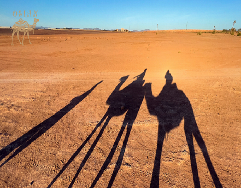 Why Osian Is A Popular Destination In Jodhpur 16982381982