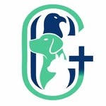 Why The Best Vet Near You Guarantees Quality Pet Care 175567197810