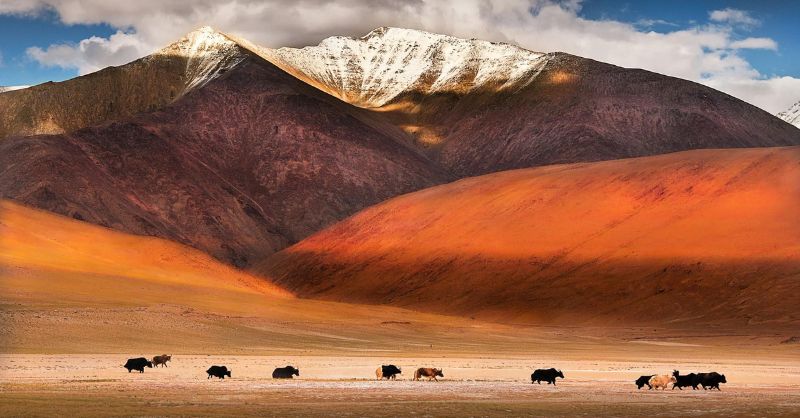 Wonderful Leh Ladakh Tour Packages Book Now 17140433781