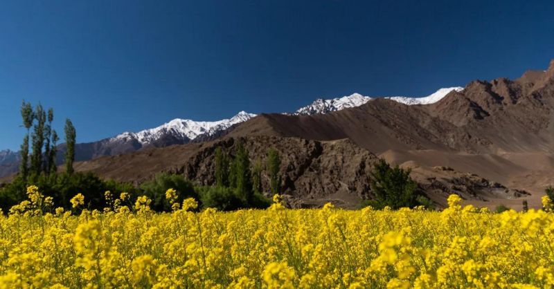 Wonderful Leh Ladakh Tour Packages Book Now 17140433796