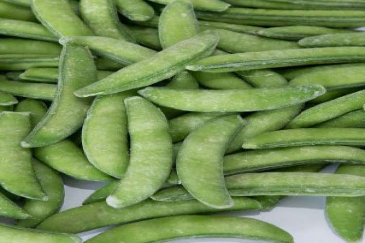 Yuyao Gumancang Food Co Ltd 2841336