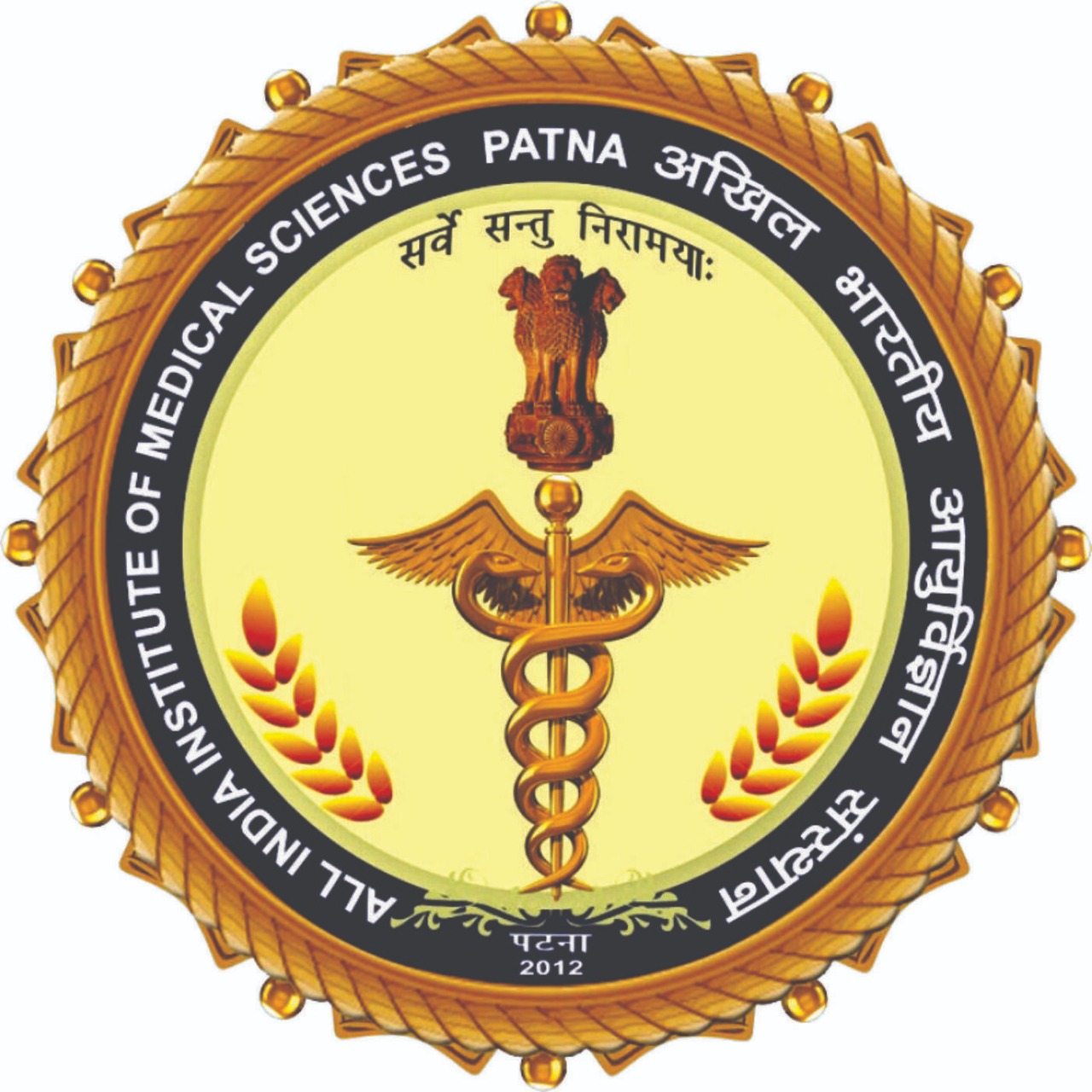 All India institute of medical sciences Patna
