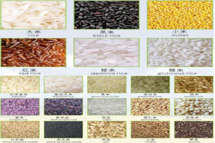 Anhui RealTech Manchinery company limited