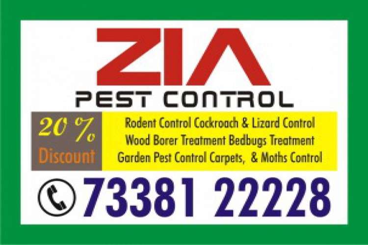Bangalore Pest Control Sanitization Service