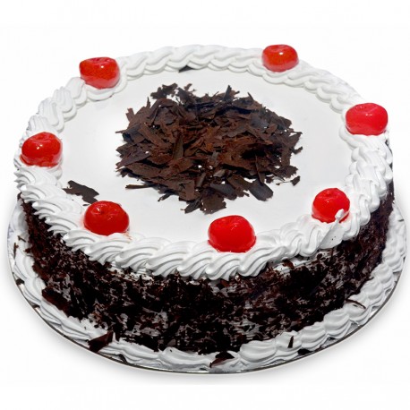 Best BLACK FOREST Cakes in Indore