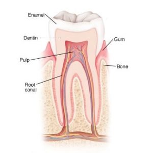 Best Dental Clinic in South Delhi