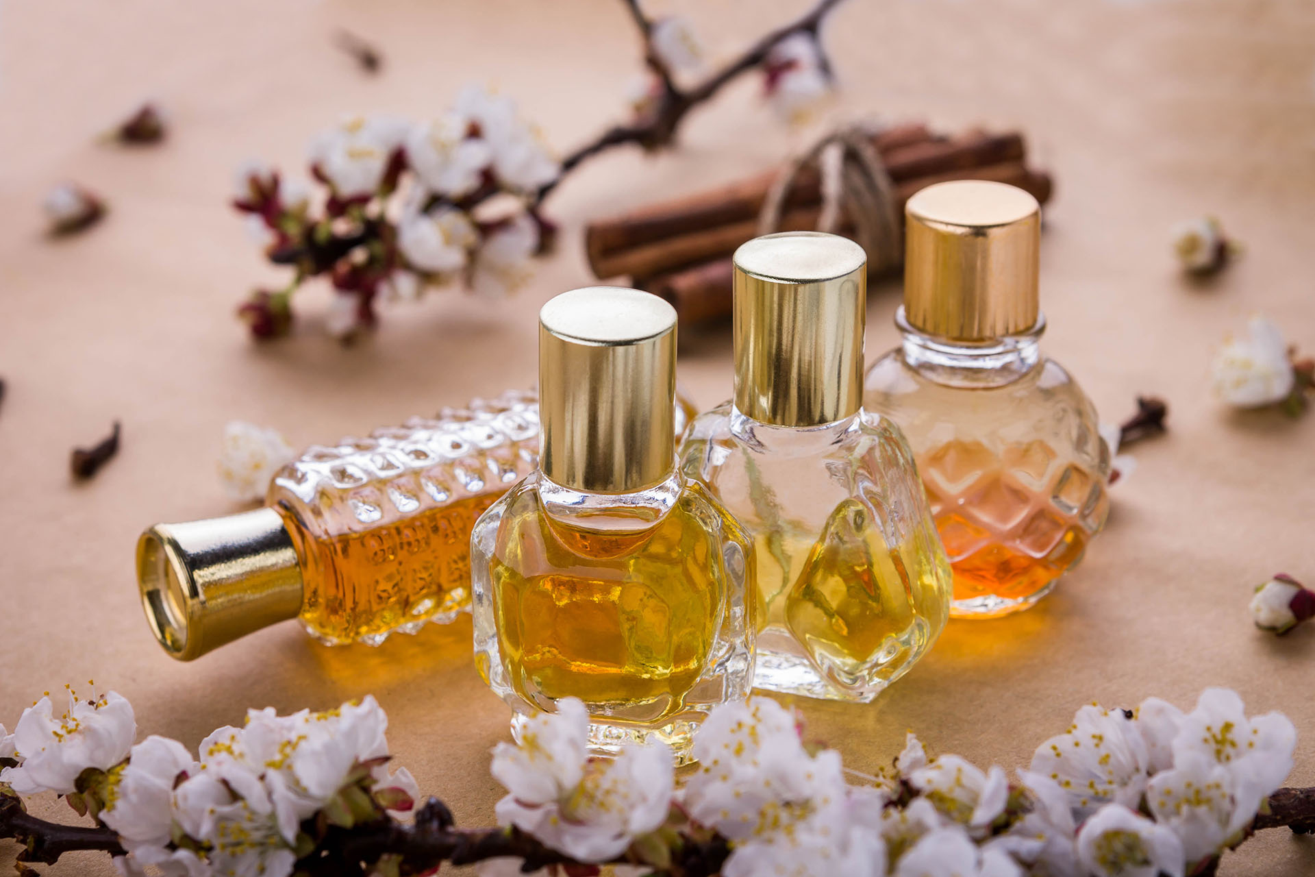 Best fragrance manufacturers in india and delhi