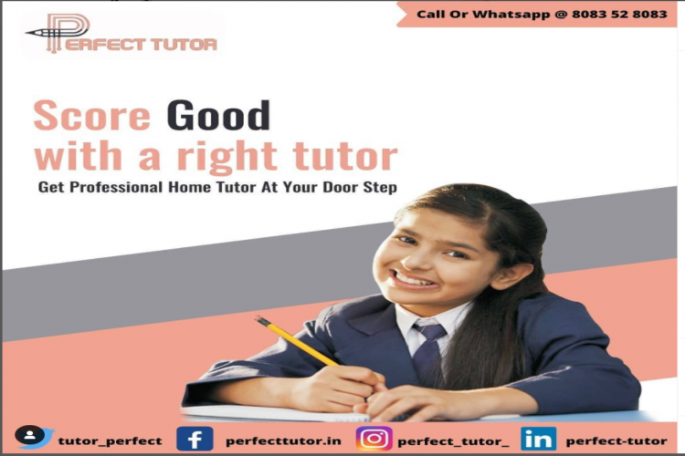 Best home Tuition in Noida
