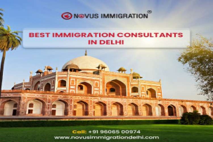 Best Immigration in Delhi
