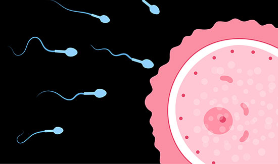 Best Infertility Clinic and Hospital In Bangalore