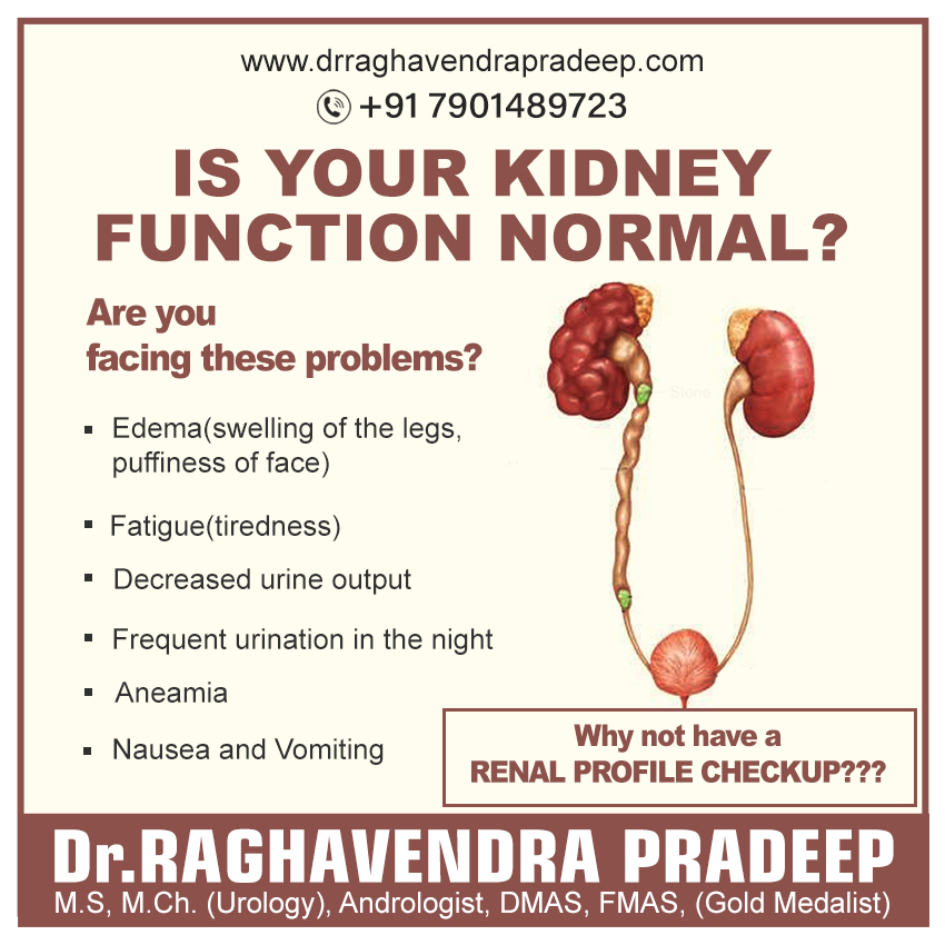 Best kidney doctor in hanamkonda