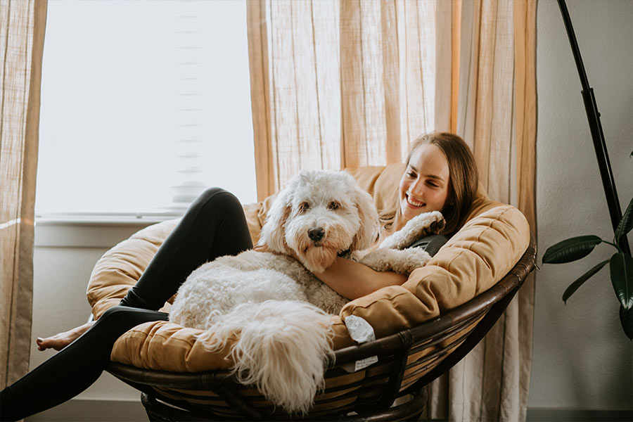 Best Pet Sitting Services in India