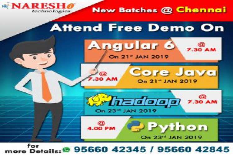 Best SoftWare Training Institute In Chennai   NARESH IT