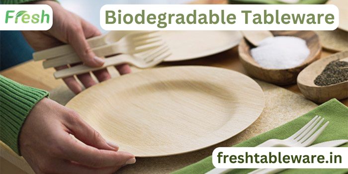 Biodegradable Plates and Eco Friendly Disposable Plates In India