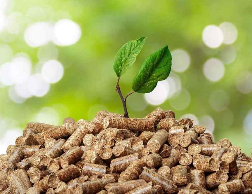 Biomass pellets manufacturer and supplier briquettes industry in india