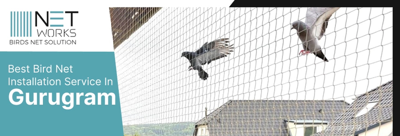 Bird net installation in gurgaon