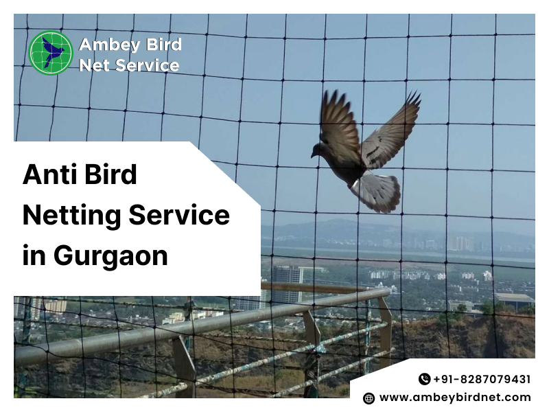 Bird Netting Service in Faridabad
