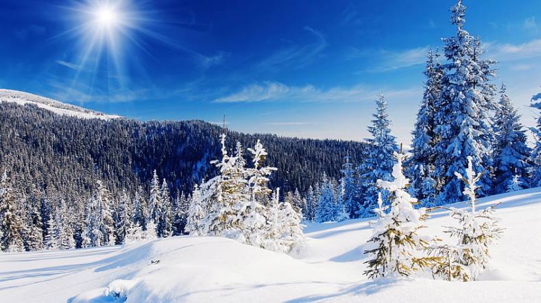 Book Auli Chopta Tour Package