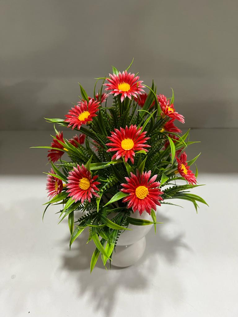 Buy bonsai pots online - pooja flower